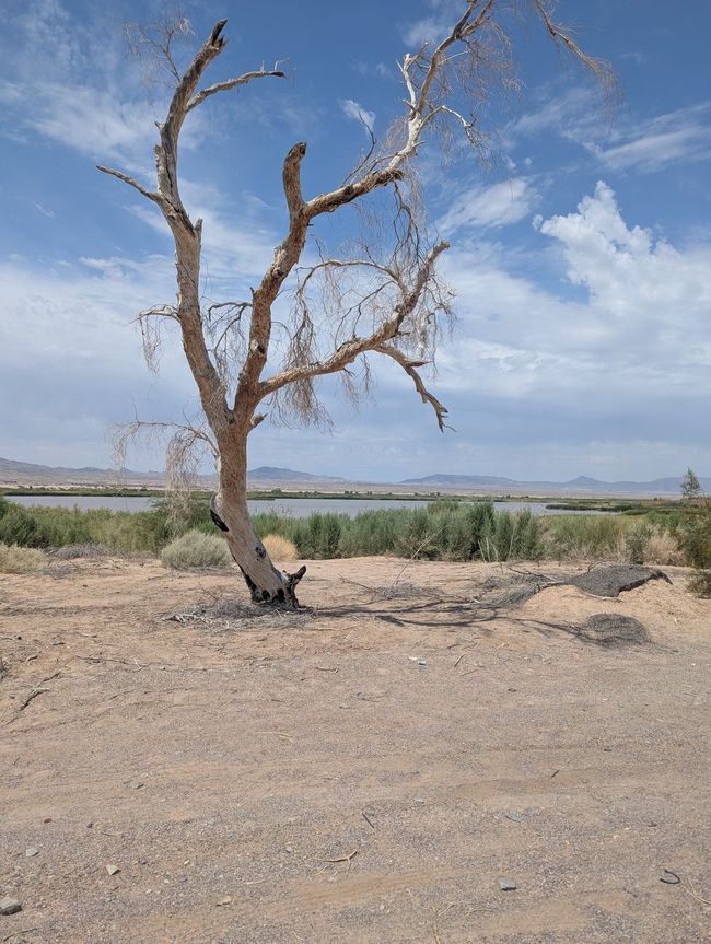 Auf dem Weg zum Grand Canyon