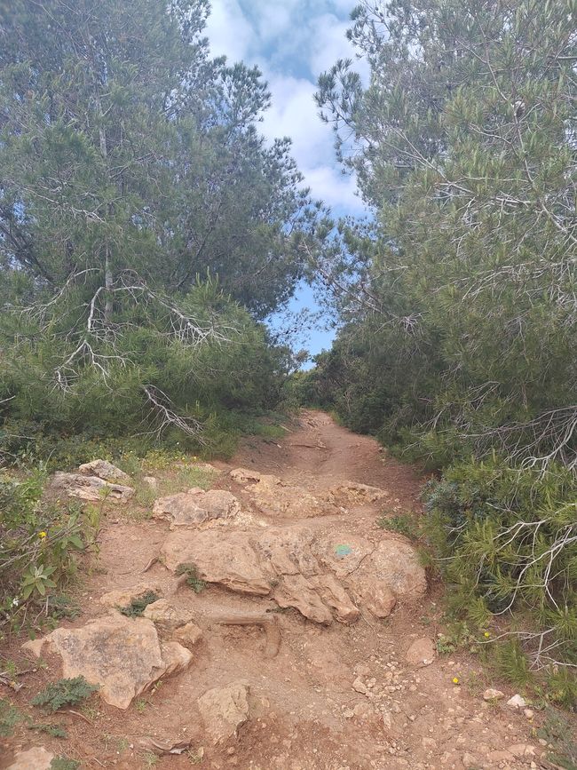 Luz -> Burgau -> Salema