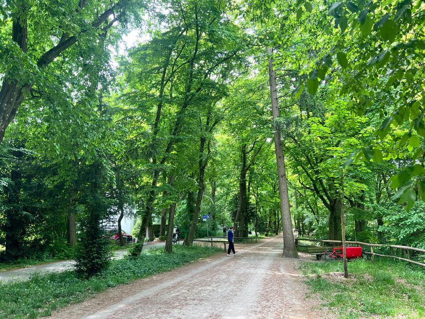 40 to Grünwald