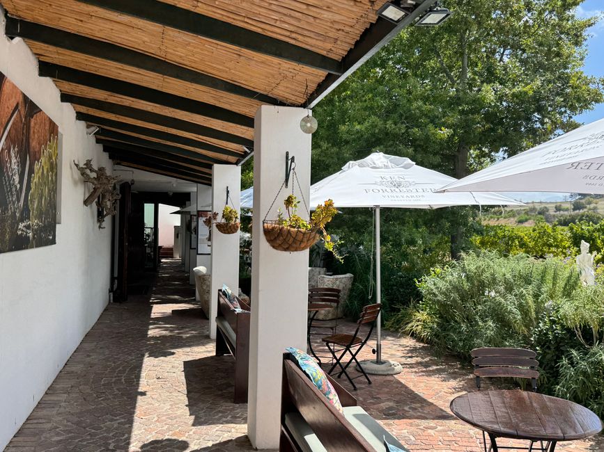 South Africa🇿🇦Week 6