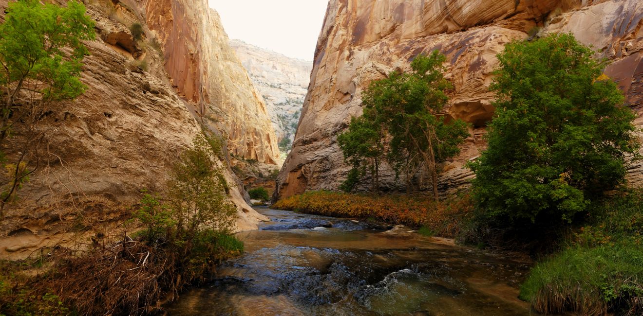 death hollow