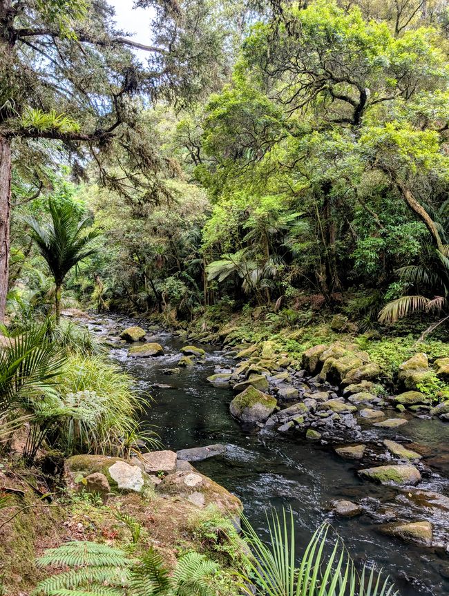 Whangarei -  Hundertwasser und Wasserfall