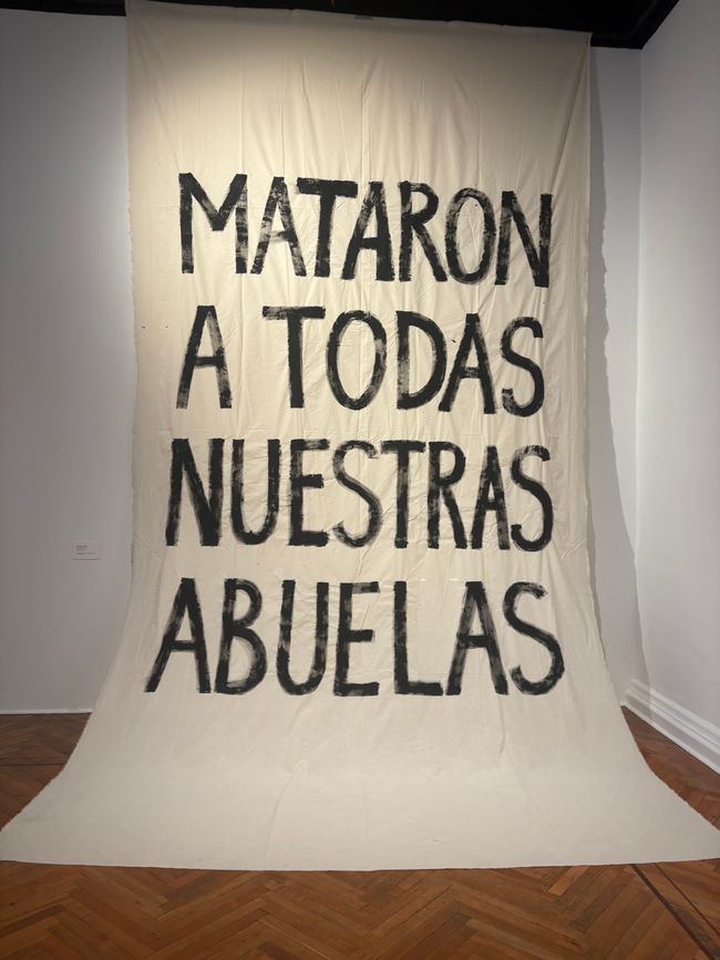Museo de las bellas artes - sie haben unsere Großmütter getötet.