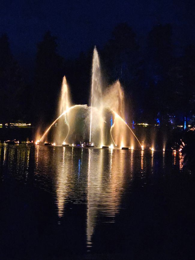 Jardín de Navidad