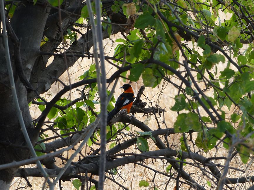 Brazil, Diamond National Park Part II