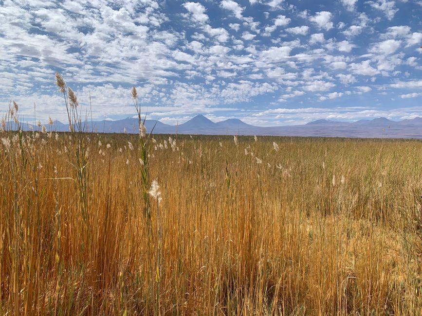 San Pedro de Atacama (Parte 1)