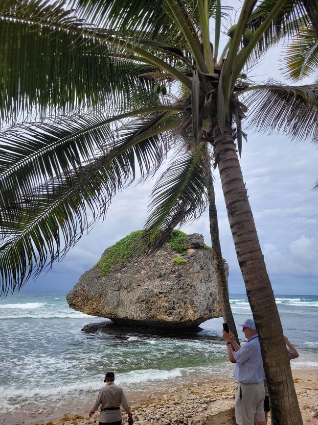 Tag 20 von 175: Kreuzfahrt rund um die Welt - Bridgetown/Barbados