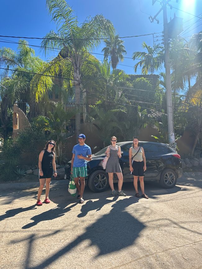 Sayulita und Puerto Vallarta… Vorweihnachtszeit