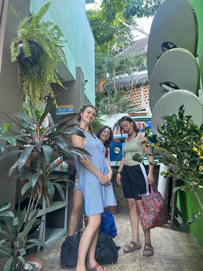 Sayulita und Puerto Vallarta… Vorweihnachtszeit