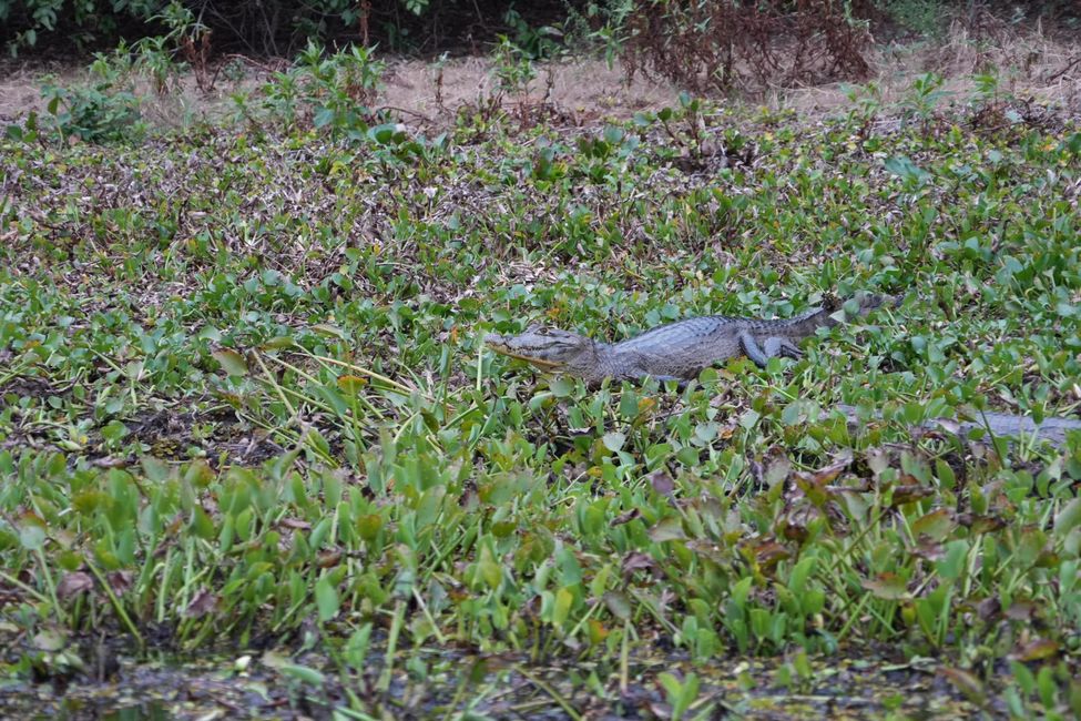 Pousada Rio Claro