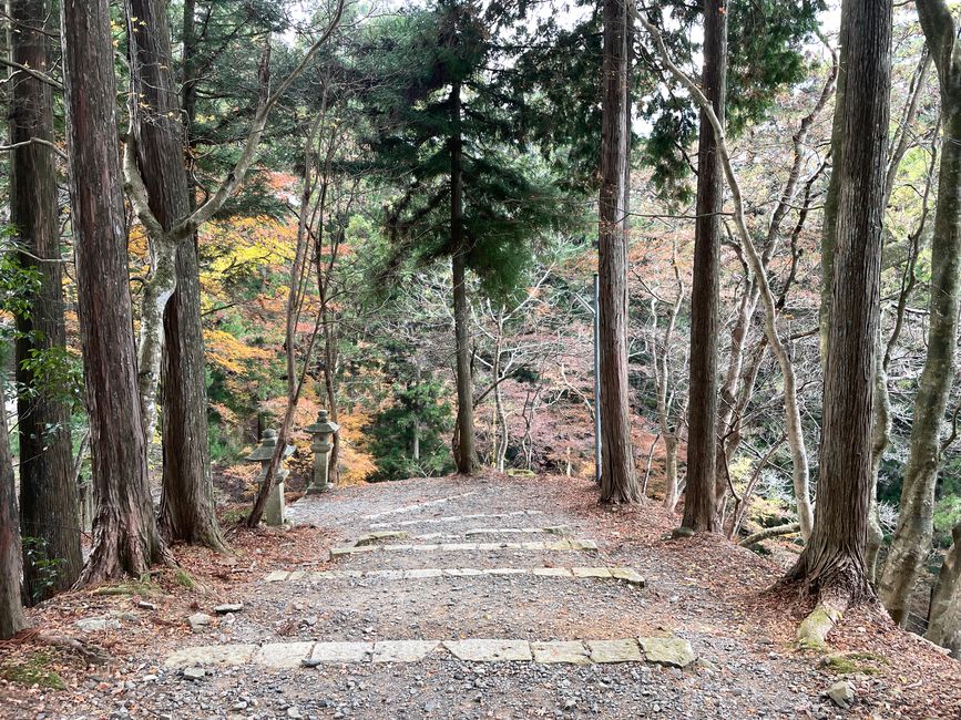 31. Capitolo: L'ultima montagna