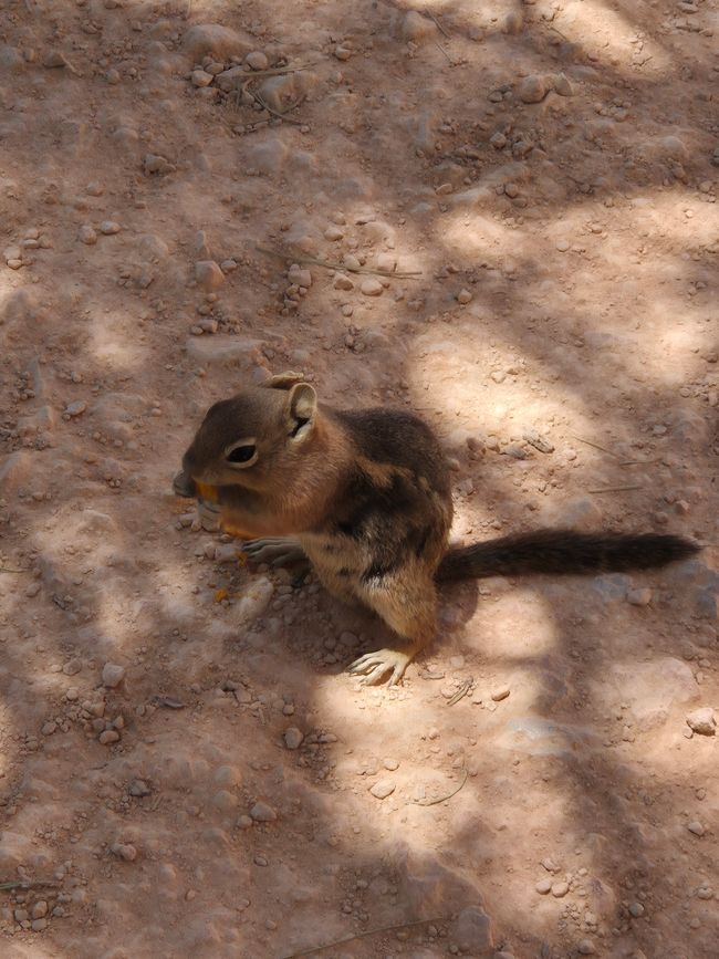 Bryce Canyon
