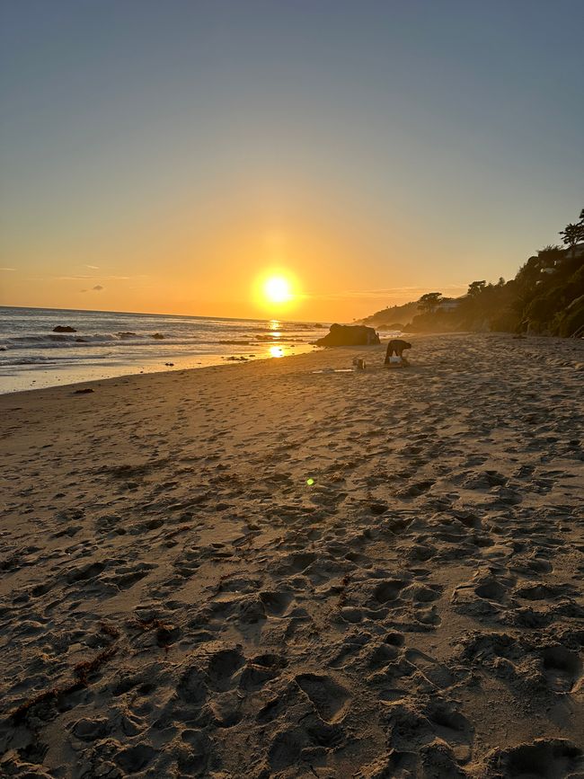 Sigue adelante por la costa Santa Cruz/Monterey/Big Sur/Morro Bay/Santa Bárbara/Malibú