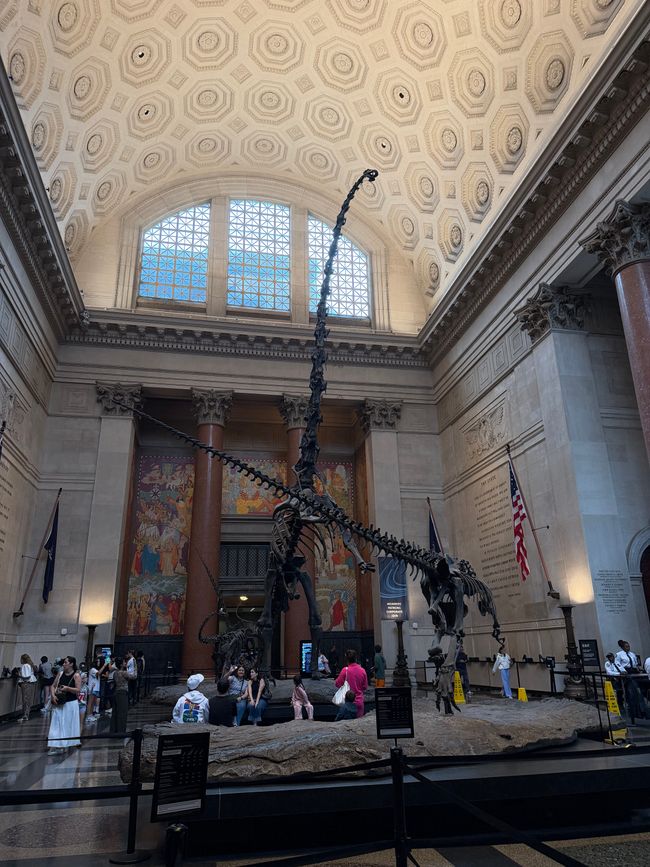 Eingangsbereich des American Museum of Natural History