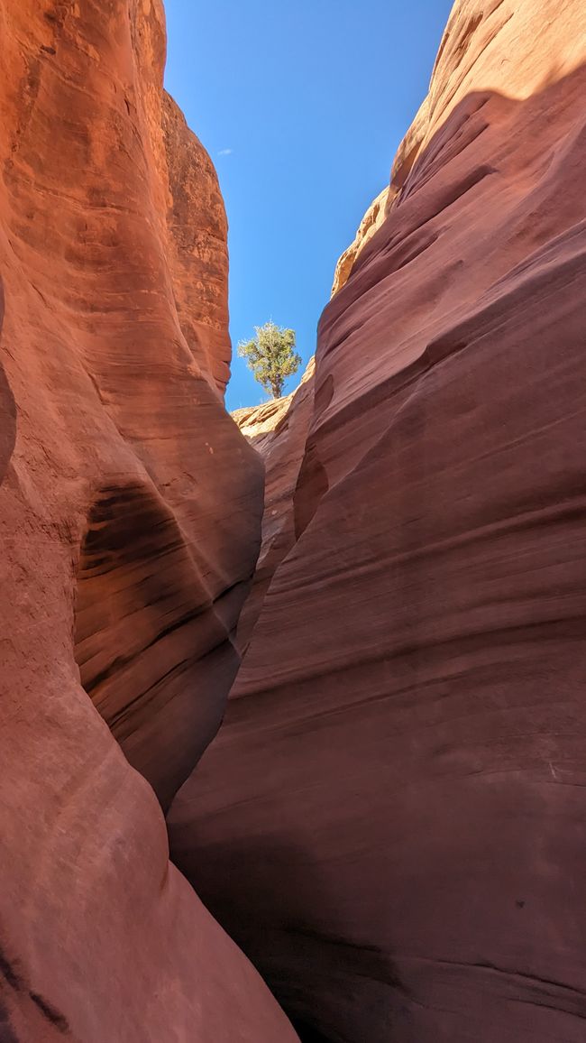 USA - Utah per fuggitivi ...