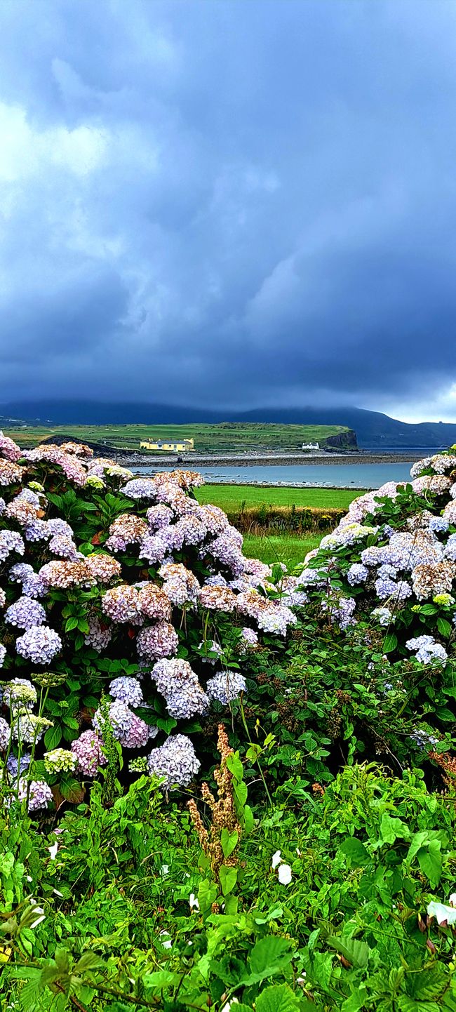 Waterville - der Name ist Programm