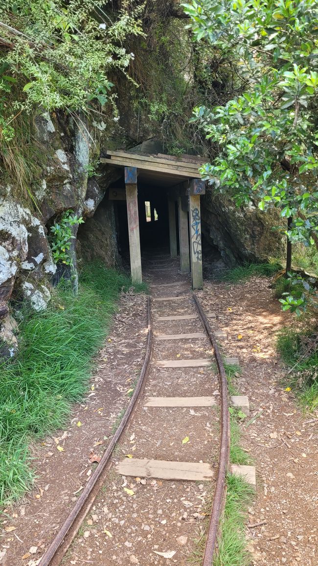 On the Trail of the Gold and Ore Mine in the Karangahake Gorge