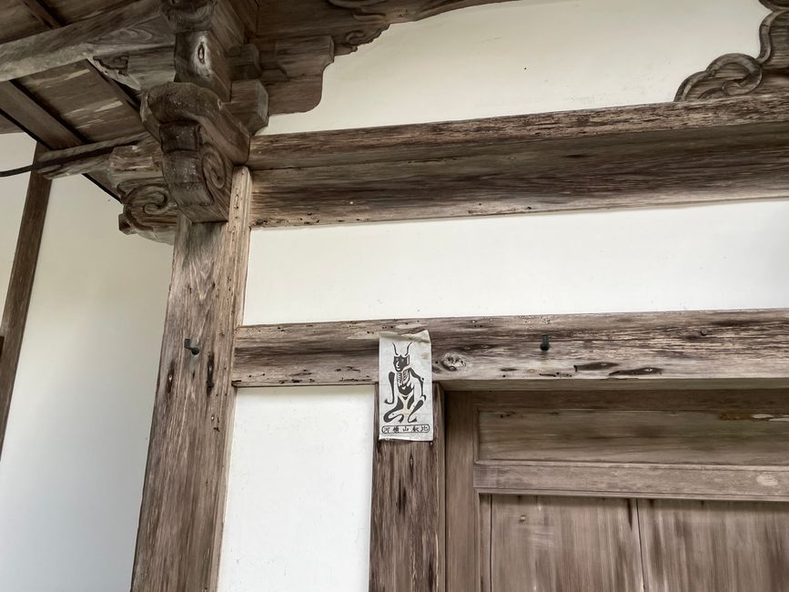 31. Capitolo: L'ultima montagna