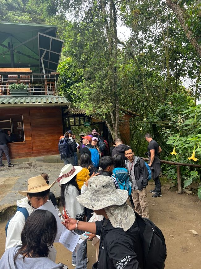 👷‍♂️标签 31-1 (3.11.) 马丘比丘，登上惠纳比丘山