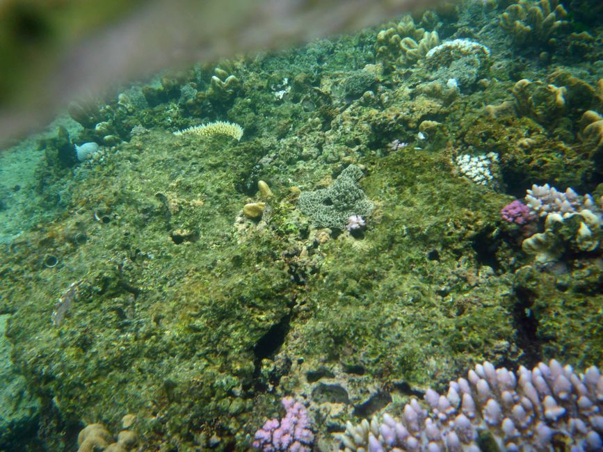 Yasawa-Inseln, Fidschi