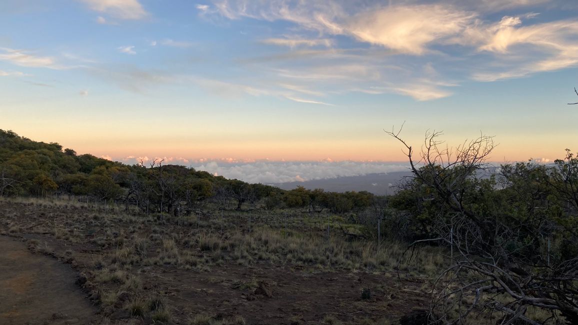 D4 - Helitour Blue Hawaiian helicopter 🚁 Hilo, Akaka waterfalls and Mauna Kea sunset