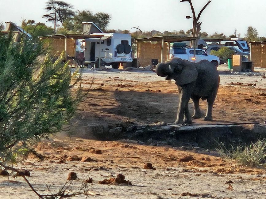 Elephant Sands: Parada en el camino hacia el delta del Okavango