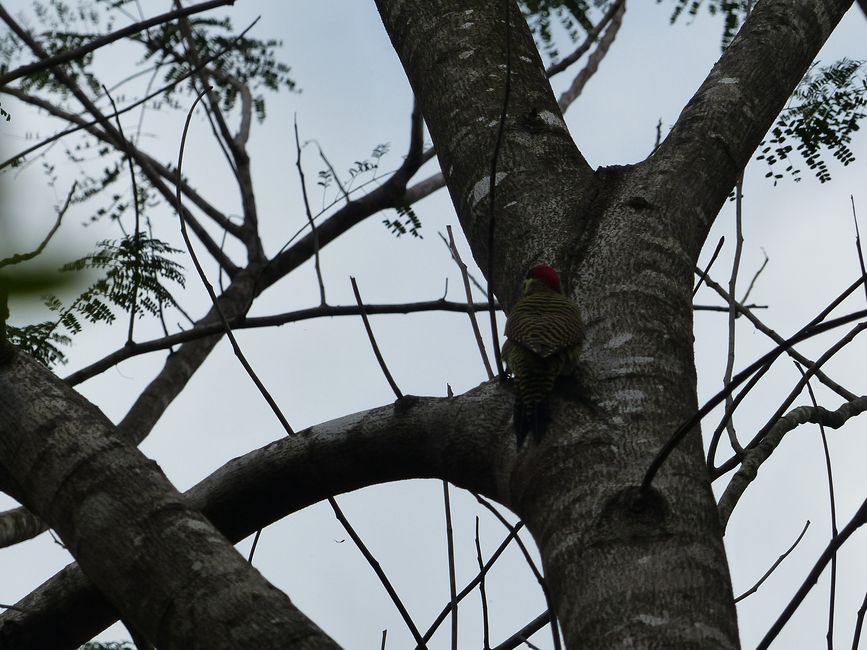 Refugio Canaa Brasil