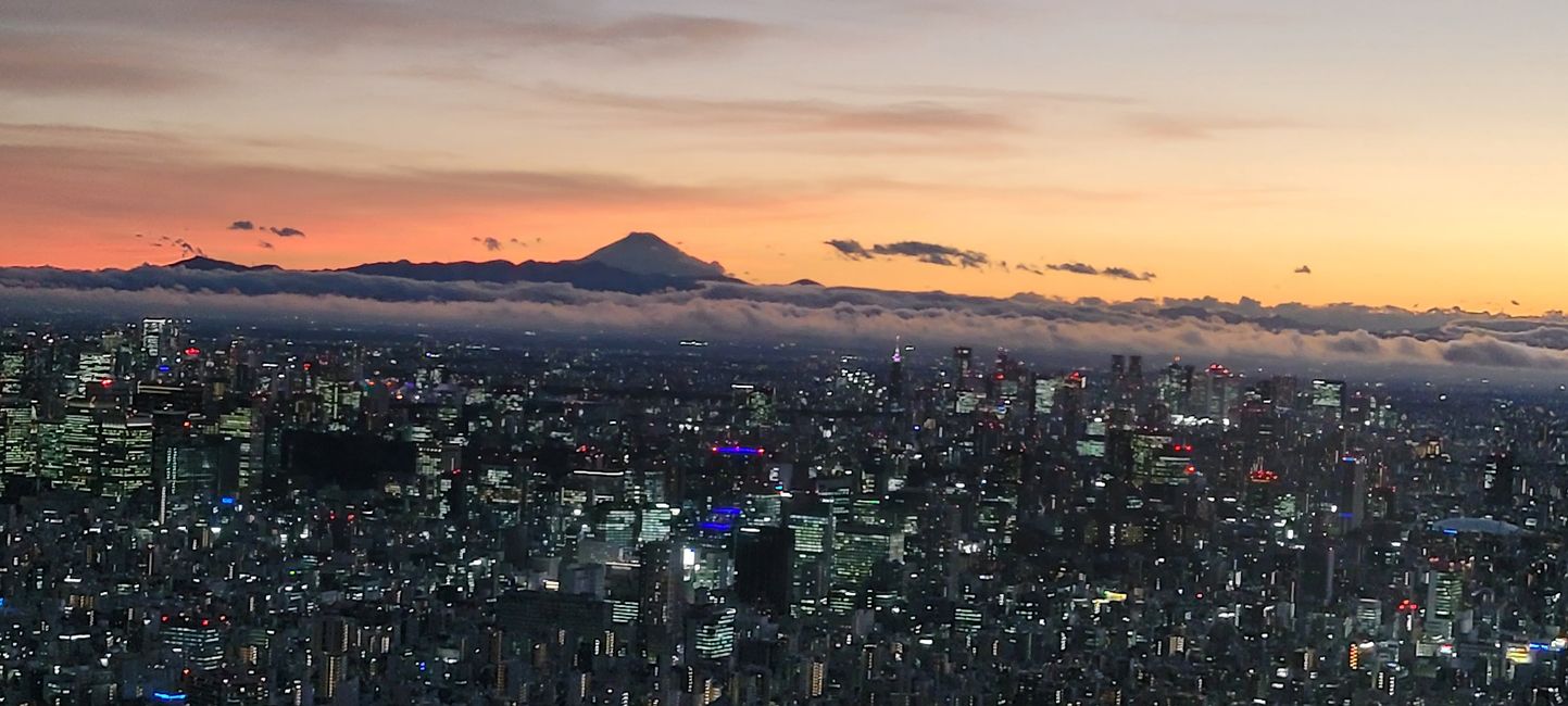 Tag 18. Tokio - Japan geht auch nass.