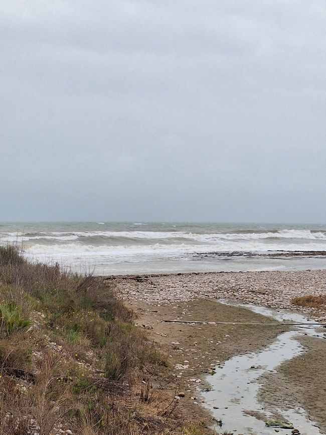 Tosendes Meer🌊