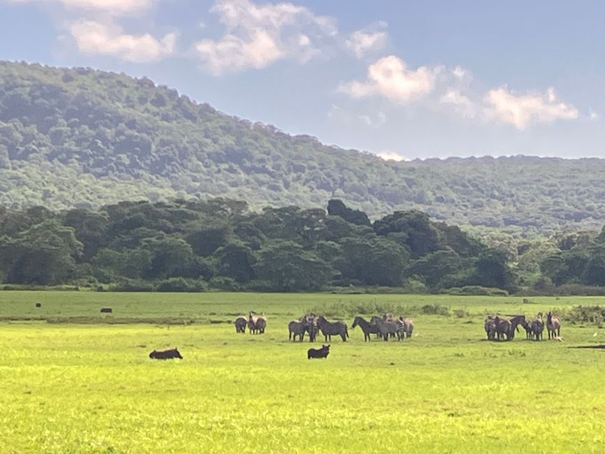 Kilimanjaro y el Parque Nacional Arusha