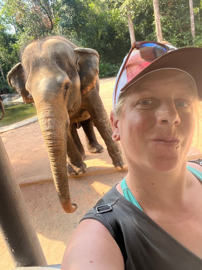 Tag 16 - Phu Quoc: Tierische Higloghts und glitzerndes Einhorn