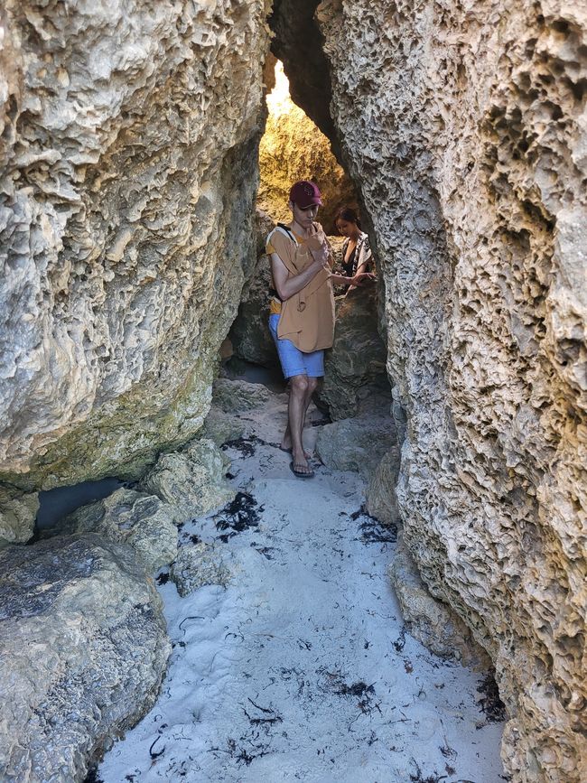 Kangaroo Island with Baby M.