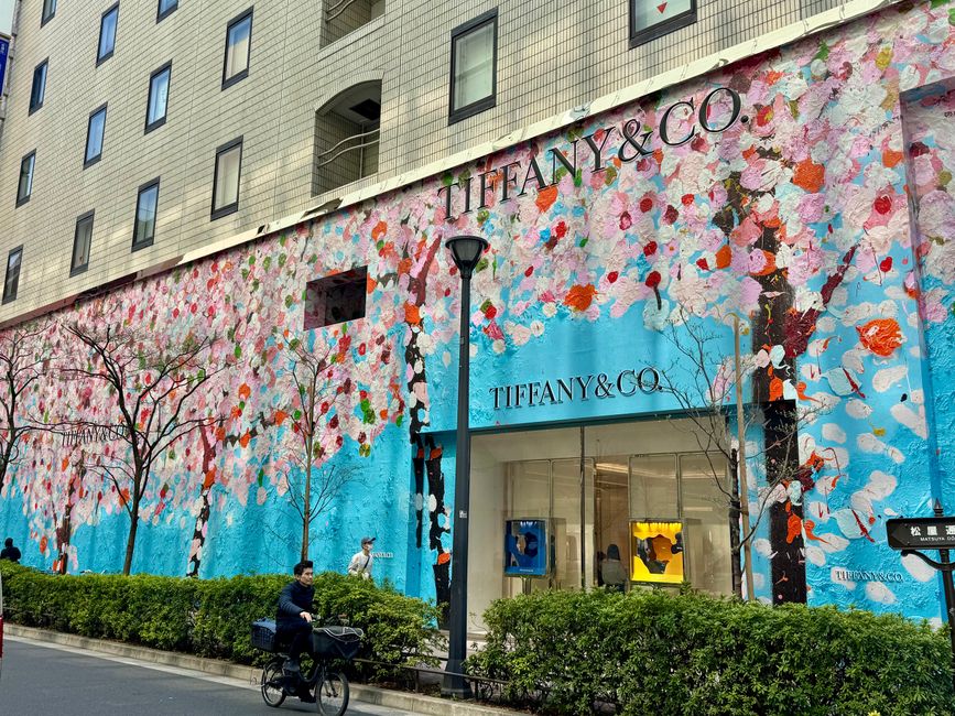 Parte 7
BENVENUTO IN GIAPPONE 🇯🇵
TOKYO