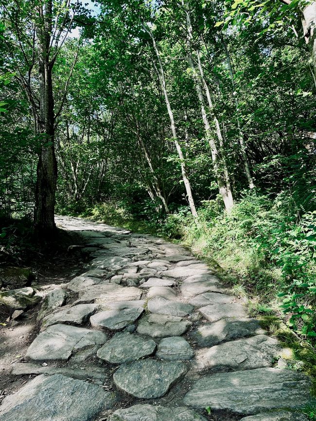 Today's Motto: Steps are meant to be climbed
