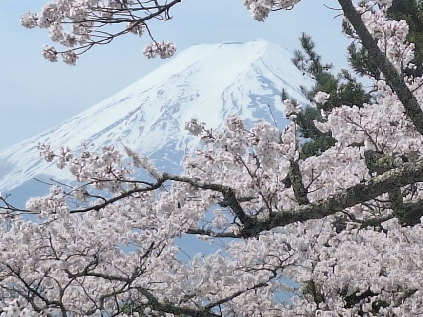 Shimizu (Mount Fuji)/Japan