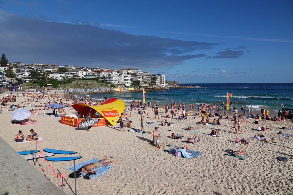 Le baie e le spiagge di Sydney ....