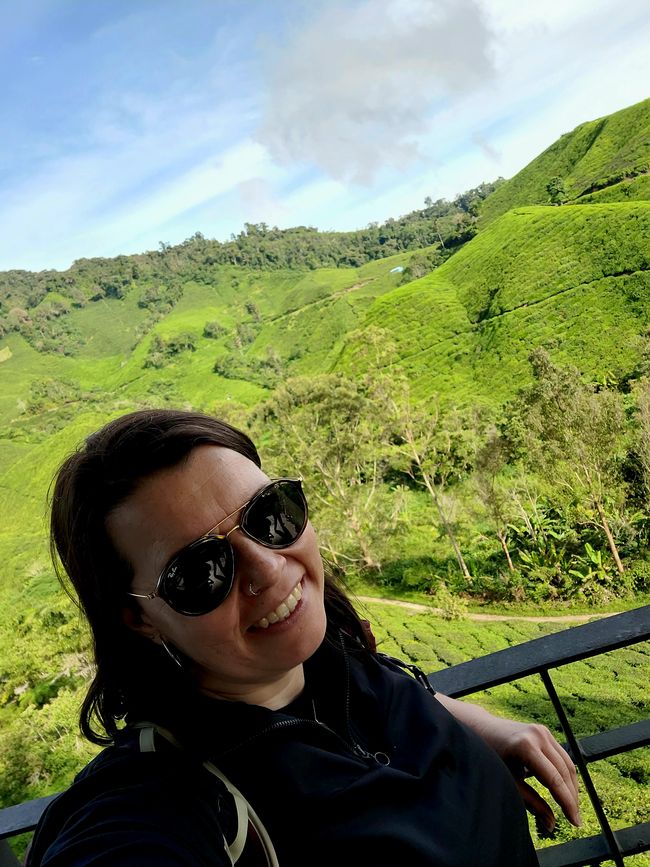 Wait and drink tea in the Cameron Highlands.