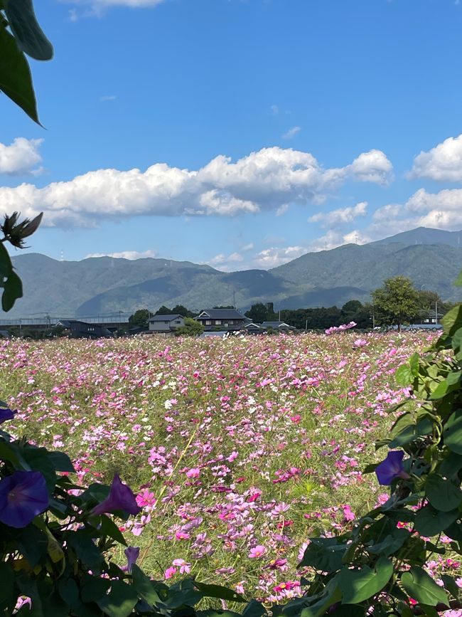 4.Kapitel: Ein bisschen vorzeitig ins Paradies