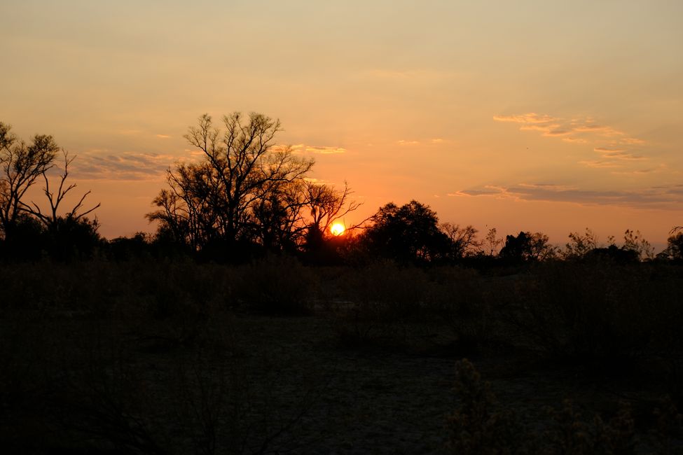 Okavango Delta 🇧🇼