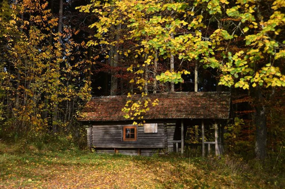 Herbst-Hiking in der Wutachschlucht: Rot, gelb, orange... und du mittendrin!