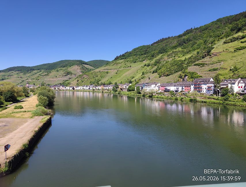 Ein , Arbeitstag ' für Herrchen an der Mosel 