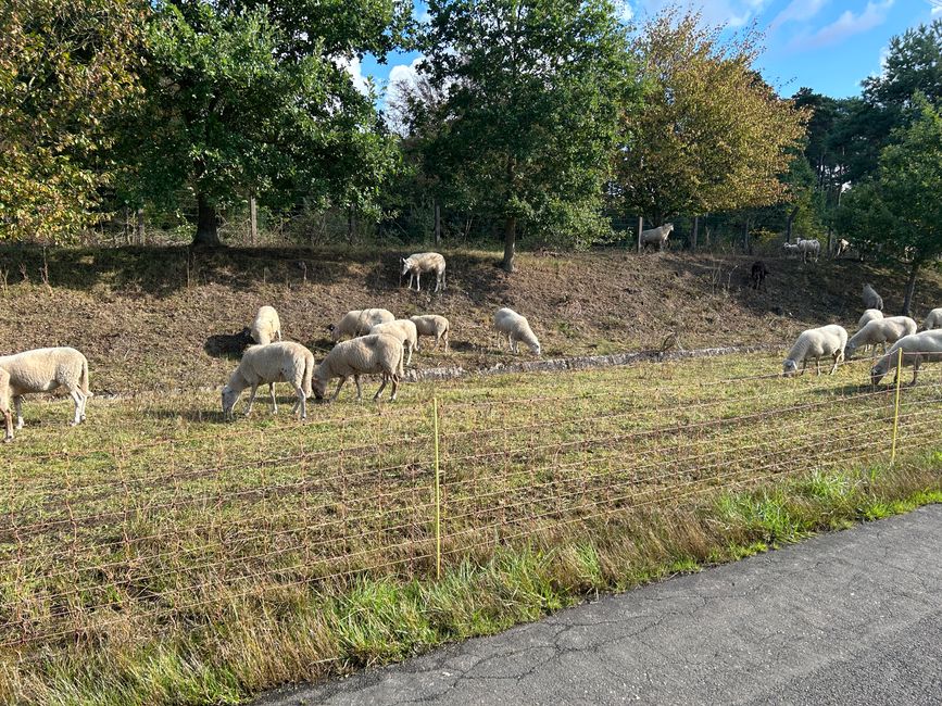 Tag 8: Schoten - Hunsel Teil 1