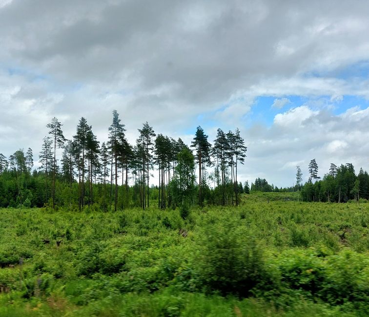 Südschweden-Tour  - Tag 14