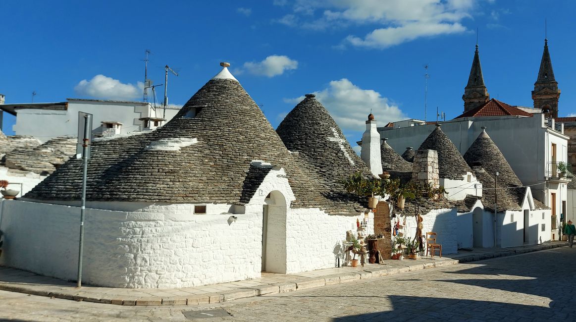 Alberobello: der schöne Baum