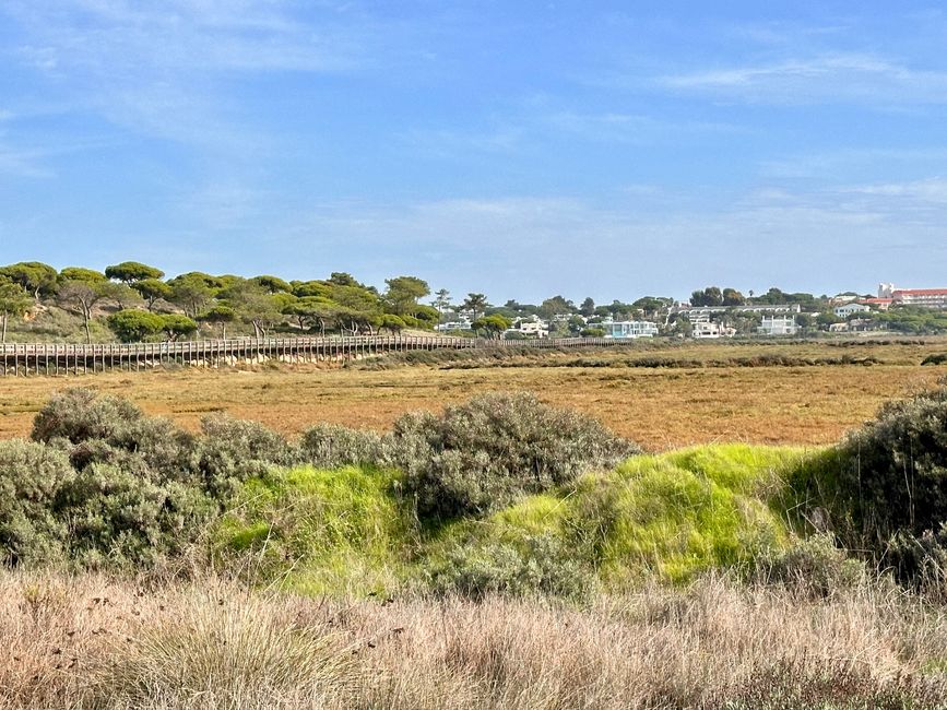 Von Praia do Garrão Nascente bis Praia do Ancão – Ein Strandspaziergang an der Algarve