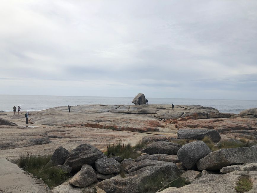 Il Bicheno Blowhole ...