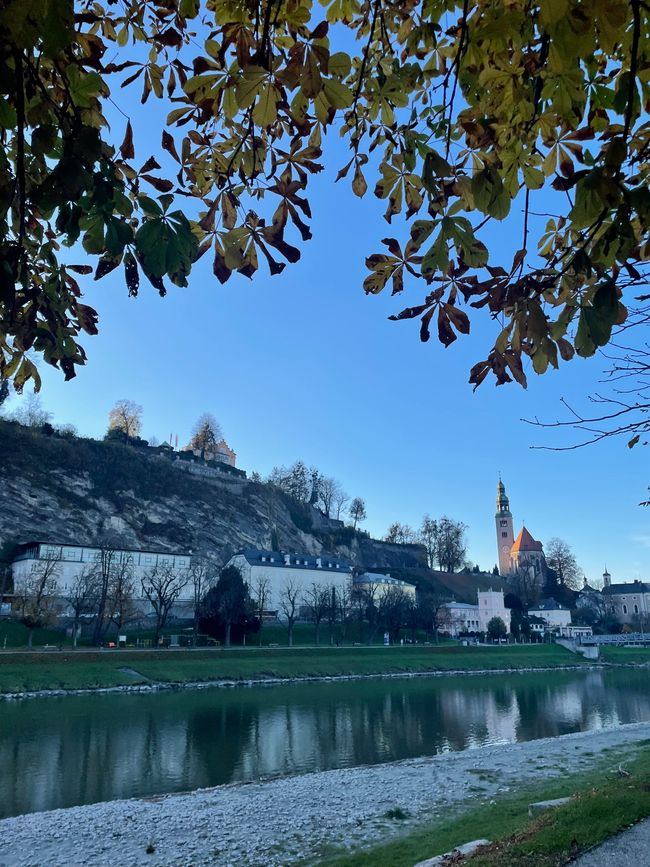 Heute nur Fotos 