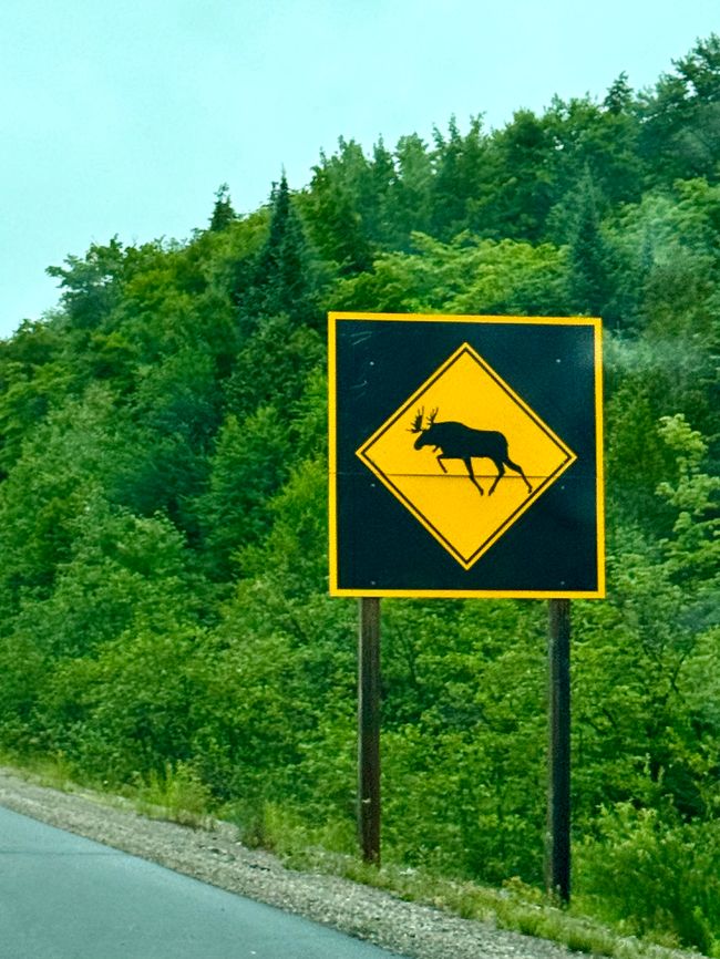 Huntsville - Mosquitoes - Miles and Misunderstandings
