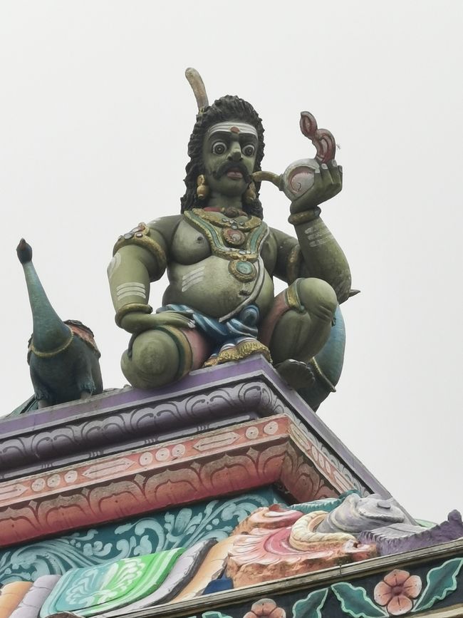 槟城山生物圈保护区的意外徒步旅行