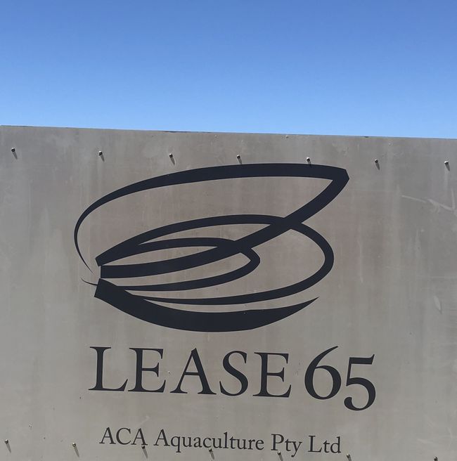 Frische Austern bei Lease 65...